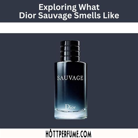 dior sauvage cologne smells like|which sauvage smells the best.